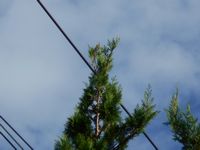 �ψ���C���[�W